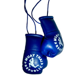 MTR Diamonds Mini BANGERS Car Hanger