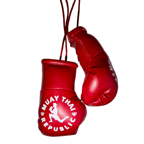 MTR Diamonds Mini BANGERS Car Hanger