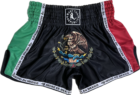 MTR “NOCHE” Muay Thai Shorts