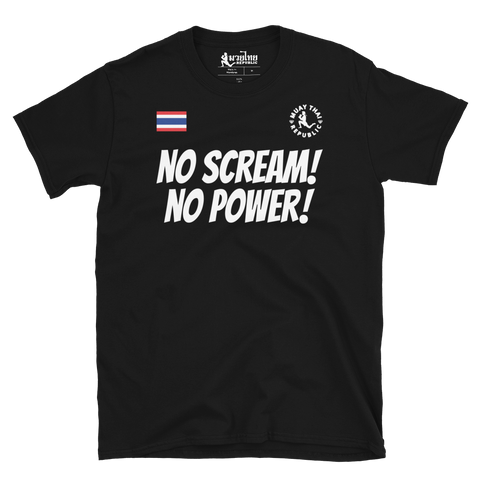 NO SCREAM! NO POWER! Shirt